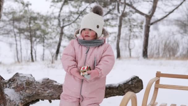 Niña linda de pie y comiendo pan de jengibre de Navidad en el parque de invierno nevado. Lindo bebé lleva un mono de moda de color rosa cálido en el día helado en el bosque. Niño encantador con trineo de madera vintage . — Vídeos de Stock