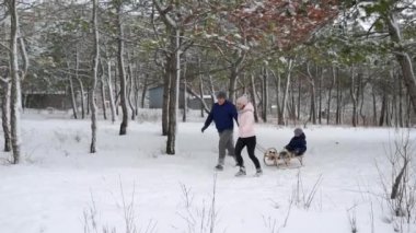Karlı kış gününde mutlu aile kızakları. Anne ve baba, oğluyla kar yağarken kızak iplerini çekerler. Erkek dışarıda kızakla kayıyor. İnsanlar kızağa biniyor ve Noel tatilinin tadını çıkarıyor. Yavaş çekim.