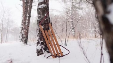 Karlı kış ormanlarında ladin tarafından desteklenen klasik ahşap kızak. Karlı bir arka plan ve kar altında çam ağacına yaslanmış eski bir kızak. Yavaş çekim takip ediliyor..
