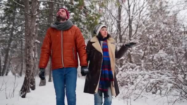 Jonge liefhebbende echtpaar wandelen in een park op sneeuw. Man en zijn vriendin die handen vasthouden en genieten van sneeuw op winterdag. Hipster vrouw wandeling in besneeuwd bos glimlachen met vriendje in stijlvolle kleding. — Stockvideo