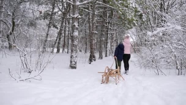 Garoto bonito em roupas quentes caminhar com sua mãe puxando trenó vintage de madeira no dia de inverno nevado. O pequenote a andar de trenó no parque na queda de neve. Mulher com criança em escalar uma colina para trenó na floresta . — Vídeo de Stock