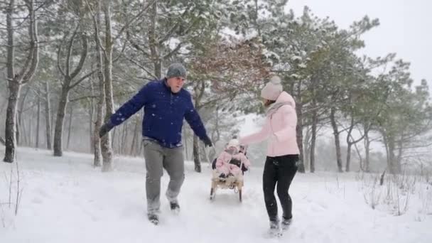 Feliz família trenó no dia de inverno nevado. Pai e mãe puxar trenó com filho e filha na queda de neve. Menino e menina trenó ao ar livre. Pessoas passeio de trenó e desfrutar de férias de Natal. Movimento lento . — Vídeo de Stock