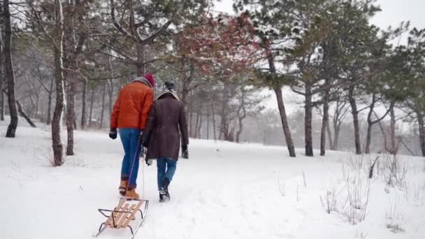 雪の冬の日にそりを引いて歩く素敵なカップル。彼女と男は雪の上で寝て行く。女はボーイフレンドと屋外でそりに行く。人々はクリスマス休暇を楽しむ。スローモーション. — ストック動画