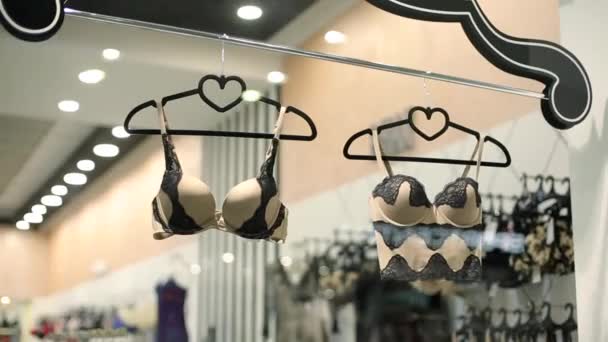 Vrouwelijke lingerie winkel showcase. Beha 's op hangers. Hoogwaardige damesondergoed boetiek. Verschillende stijlen en patronen van beha 's. Aantrekkelijke romantische en home kleding winkel. — Stockvideo