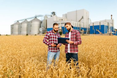 Two farmers stand in a wheat field with tablet. Agronomists discuss harvest and crops among ears of wheat with grain terminal elevator on background clipart