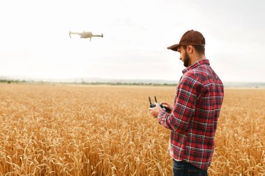 Quadcopter arka plan üzerinde uçan iken Çiftçi elleri ile uzaktan kumanda tutar. Buğday alanında bilimsel tarım uzmanı arkasında dron hovers. Tarım yeni teknolojiler ve yenilikler. Arkadan görünüm