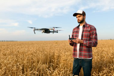Küçük dron elinde uzaktan kumandayla çiftçinin önünde uçuyor. Çeyrek helikopter pilotun yanında uçuyor. Agronomist buğday tarlasında hava fotoğrafları ve videolar çekiyor