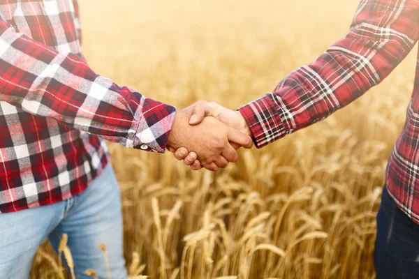 Menschen beim Händeschütteln auf einem Weizenfeld, die Bauern sind sich einig. Agraragronom unternehmerisches Vertragskonzept — Stockfoto