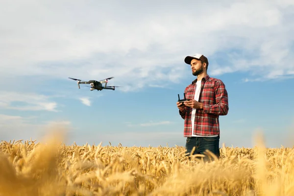 Před farmářem se vznáší kompaktní dron s dálkovým ovladačem v rukou. Quadcopter letí blízko pilota. Agronom pořizující letecké snímky a videa v pšeničném poli — Stock fotografie