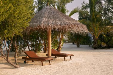 Saman şemsiyesinin altında iki plaj sandalyesi. Maldivler adasındaki Hint Okyanusu kıyısı. Beyaz kumlu sahil ve sakin deniz. Seyahat ve tatil kavramı.