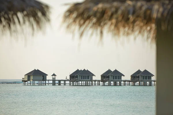 Water bungalows in hotel on Maldives. Villas on Indian ocean at luxury spa resort. — Stock Photo, Image