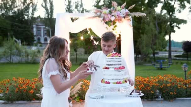Nygifta skar bröllopstårta på varm sommar solnedgång nära dekorerad båge utomhus. Brud- och brudgummen ler och skär bröllopstårta tillsammans med händerna på en kniv. Långsamma rörelser. — Stockvideo