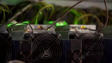 Büyük çiftlikteki kripto para madenciliği ekipmanları. ASIC madencileri sunucu odasında bitcoin 'i rafa kaldırıyor. Entegre devre engelleme teknolojisi uygulaması. Üçayaklı panorama.