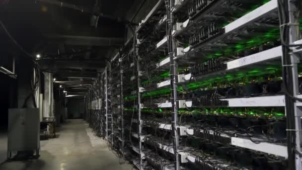 Large wired internet datacenter storage. Cryptocurrency mining equipment on large farm. ASIC miners on stand racks mine bitcoin in server room. Supercomputer blinking with lights. Steadycam footage. — Stock Video