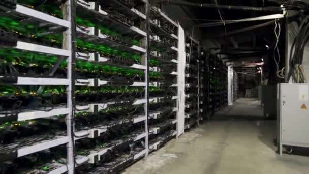 Cryptocurrency mining equipment on large farm. ASIC miners on stand racks mine bitcoin in server room. Blockchain techology application specific integrated circuit. Steadycam footage along racks. — Stock Video