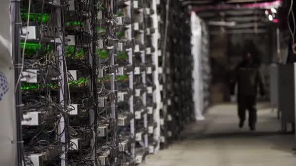 Técnico de diagnóstico de data center caminha ao longo dos racks de equipamentos de mineração na sala de servidores. Administrador de rede verifica grande cluster de computação com hardware de rede. Engenheiro de serviço de mineiros ASIC . — Vídeo de Stock