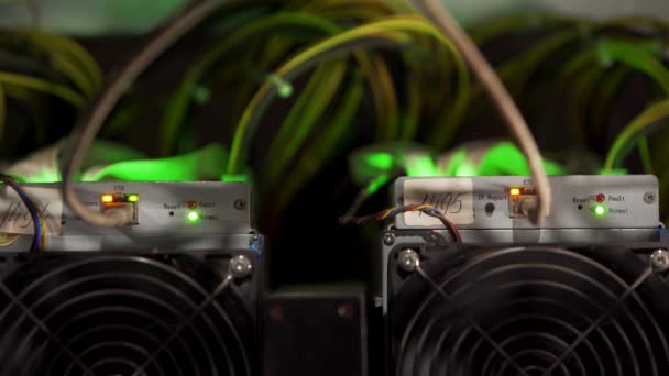 Stora trådbundna internet datacenter lagring. Cryptocurrency gruvutrustning på stor gård. ASIC gruvarbetare på monter rack gruva bitcoin i serverrummet. Superdatorn blinkar med ljus. Fortfarande stativ skott. — Stockvideo