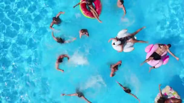 Aérea de amigos teniendo fiesta en piscina con flamenco inflable, cisne, colchón, anillo. Jóvenes felices salpicando agua en el resort en un día soleado. Vista desde arriba. Chicas en bikini de baño . — Vídeos de Stock