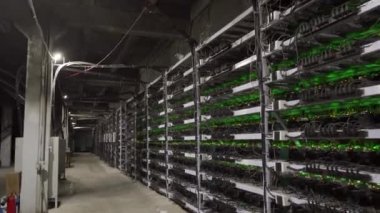 Büyük kablolu internet veri tabanı deposu. Büyük çiftlikteki kripto para madenciliği ekipmanları. ASIC madencileri sunucu odasında bitcoin 'i rafa kaldırıyor. Süper bilgisayar ışıklarla yanıp sönüyor. Sabit kamera görüntüleri.