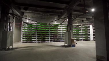 Büyük çiftlikteki kripto para madenciliği ekipmanları. ASIC madencileri sunucu odasında bitcoin 'i rafa kaldırıyor. Entegre devre engelleme teknolojisi uygulaması. Üçayaklı panorama.