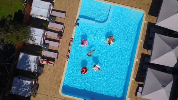 Aerial. Friends chilling in swimming pool with inflatable flamingo, swan, mattress. Happy young people bathe on floating mattresses in luxury resort. View from above. Girls in bikini sunbathing in sun Royalty Free Stock Video