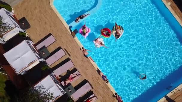 Aérea. Los amigos se broncean en el flamenco inflable, cisne, flotadores y tumbonas. Los jóvenes felices se bañan en colchones de aire en un resort de lujo. Vista desde arriba. Chicas en bikini tomando el sol — Vídeos de Stock