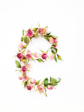 Kuru göstermesiydi yapılan E Harfi