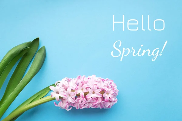 Carte de printemps avec inscription Hello spring sur fond bleu . — Photo