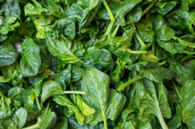 Ispanak sebze pazarı içinde.