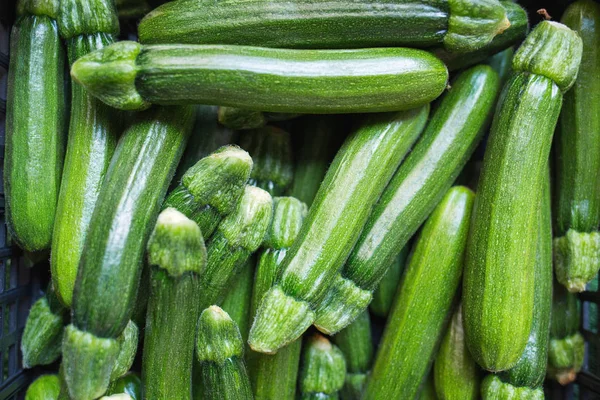 Fresh green zucchini.