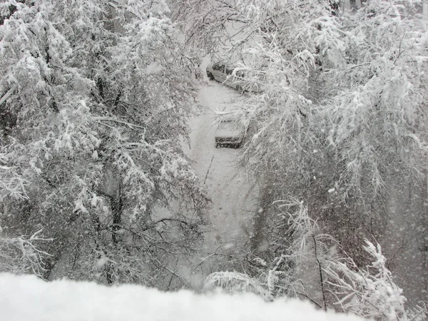 Nevadas, árboles y coches en la nieve Fotos De Stock