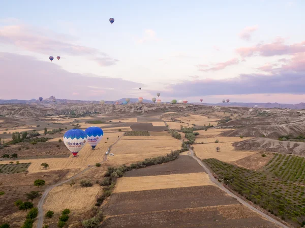 Groupe de montgolfières . — Photo