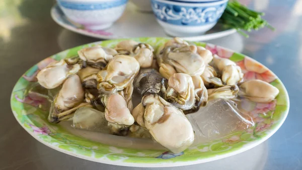 Verse oesters op schotel. — Stockfoto