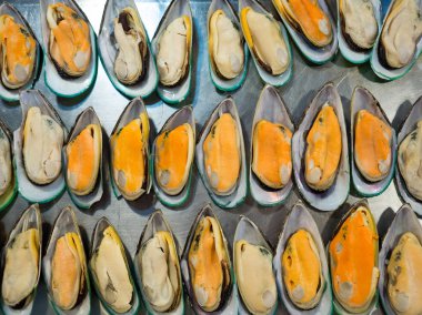 Cooded midye hizmet vermeye hazır.