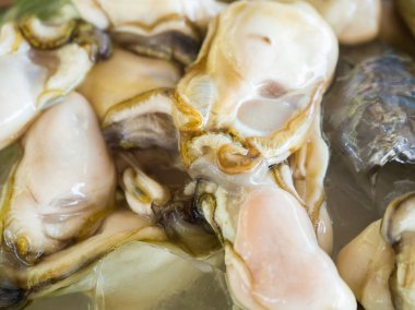 Çanak üzerinde taze istiridye.