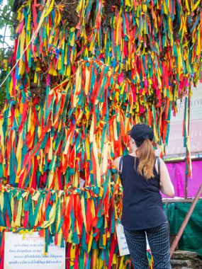 Kutsal ağacı Koh Kret.
