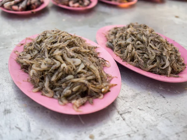 Lanchester tatlı su karides 