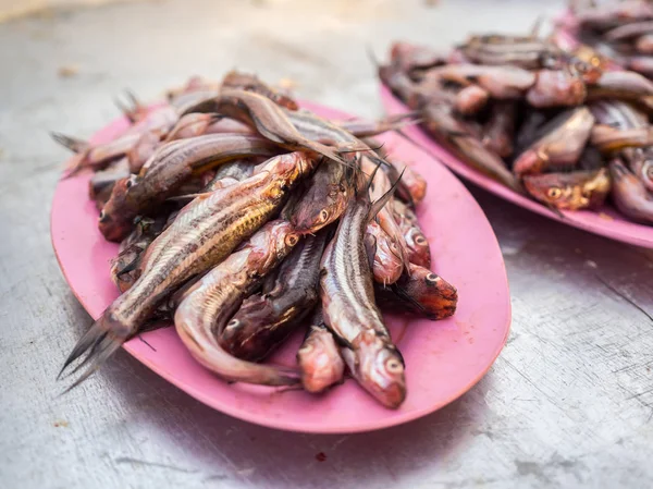 Pescado fresco y pequeño . — Foto de Stock