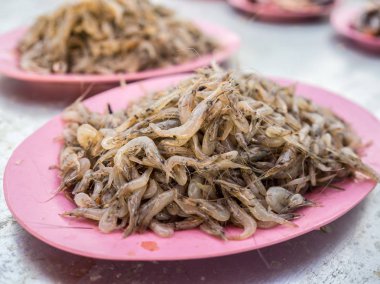 Lanchester tatlı su karides 