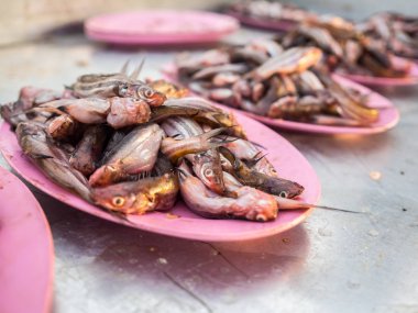 taze küçük balık.