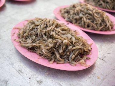 Lanchester tatlı su karides 