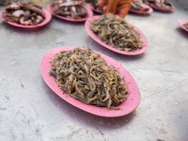 Lanchester tatlı su karides 