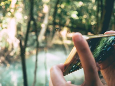 Smartphone ile doğa fotoğraf çekmek.