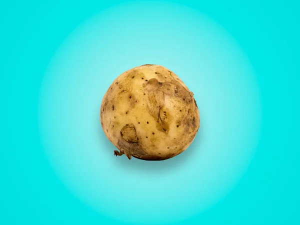 Ugly Potato Isolated Colour Background — Stock Photo, Image