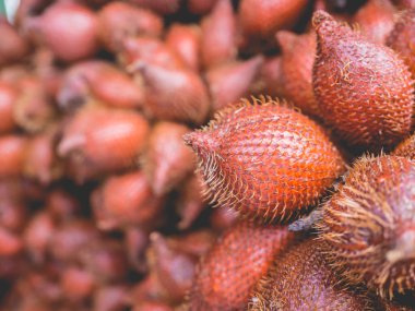 Sala veya Salacca zalacca tropikal meyve Tayland satış.