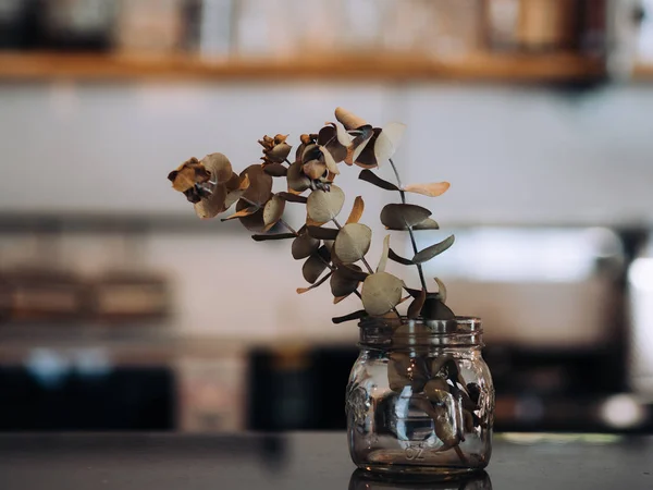 Flores secas em frasco de vidro decorado no topo do balcão de café ba — Fotografia de Stock