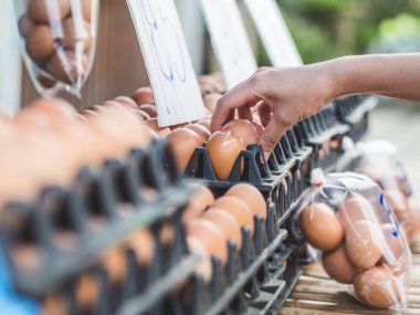 Taze çiğ yumurta içinde tepsi Tay yerel pazarda satmak.