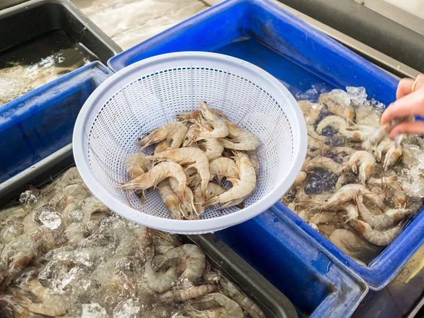 Camarones blancos tailandeses frescos se venden en el mercado local de Tailandia . —  Fotos de Stock