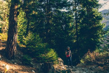 Woman hike through mountain and beautiful nature of forest.
