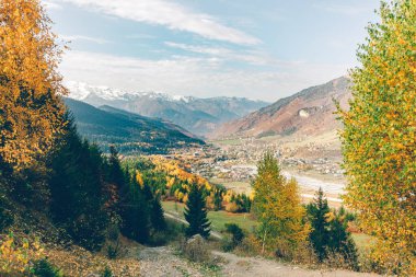 Renkli ağaç ve orman doğa yürüyüşü. Fotoğrafta kimse yok..